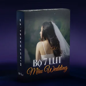 Bộ 7 LUT Wedding